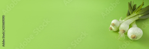 Fototapeta Naklejka Na Ścianę i Meble -  Green onion isolated on green background Banner