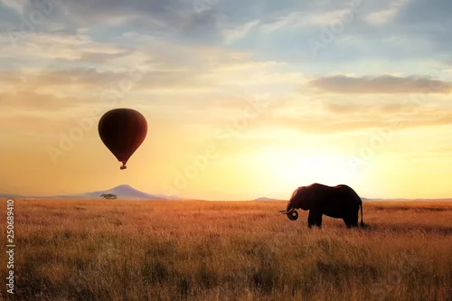 Obraz Afrykański sawannowy słoń przy zmierzchem w Serengeti parku narodowym. Afryka. Wildlife of Tanzania. Artystyczny obraz afrykański. Bezpłatne miejsce na kopię.