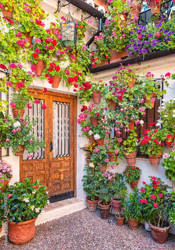 Fototapeta Naklejka Na Ścianę i Meble -  Nice patio with flowers and pond in Cordoba, Spain