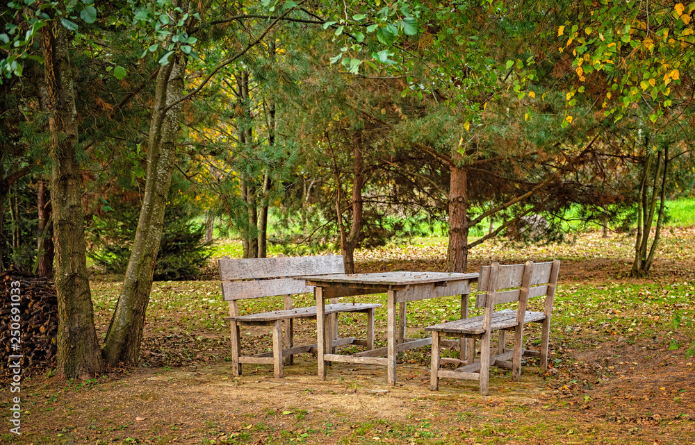 Table in the garden in autumn