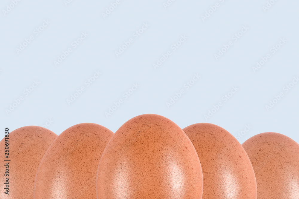 eggs on a light background, images for easter blanks eggs on a light background, images for easter blanks