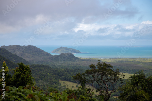 Daintree rainforrest 