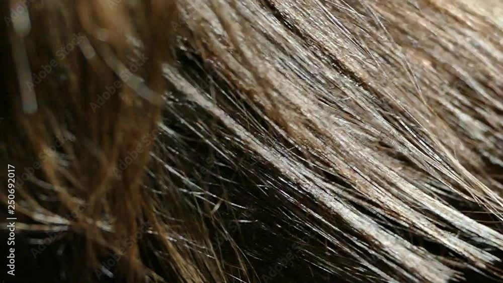 The girl hair dryer drying her hair. The hair is shaking from the air flow. The girl in the bathroom makes a hairstyle.