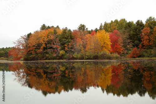 Fall Reflections