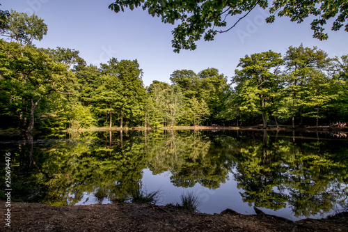 Saint-Germain-en-Laye, France