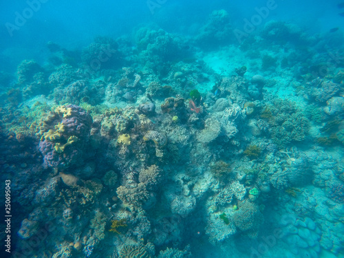 Great barrier reef, Australia © Ralph
