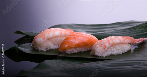 set of sushi on a wooden board with leaves of plants on a dark background