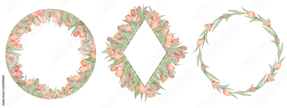 Set of watercolor tulips frames. Drawn by hand. Ideal for logo, wedding invitations, cards