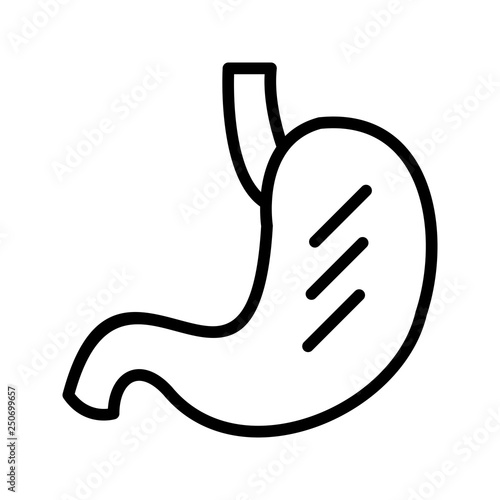 Vector Stomach Icon