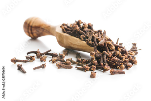 Wallpaper Mural Carnation, dried clove spice. Torontodigital.ca