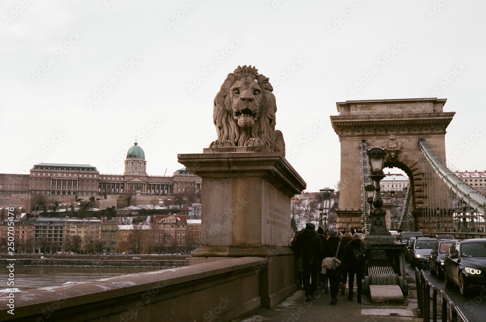 Fototapeta premium Bridge lions Budapest