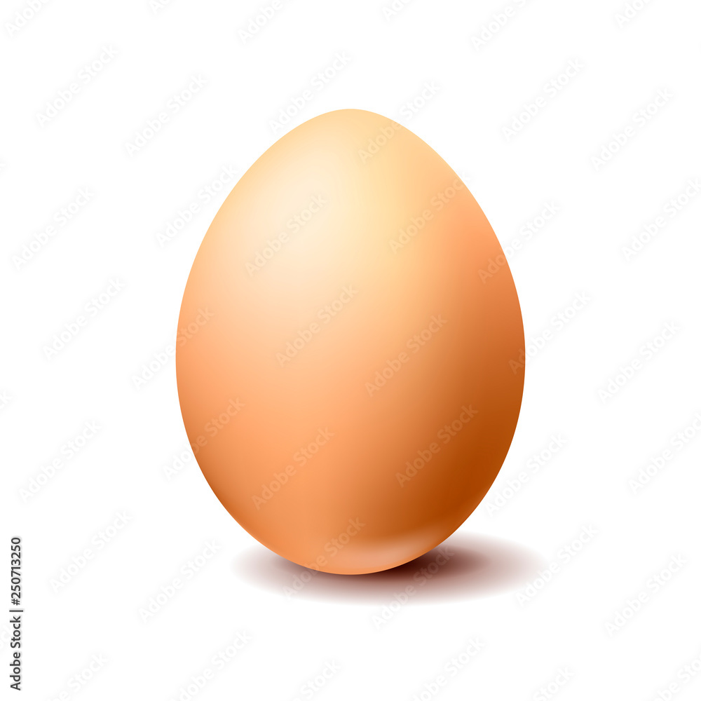 Brown chicken egg on white background Brown chicken egg on white background
