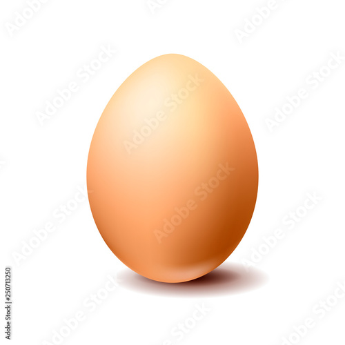 Brown chicken egg on white background