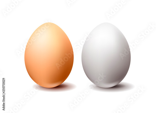 White and brown chicken eggs on white background