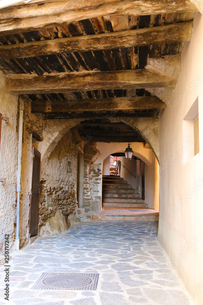 Obraz premium BORMES LES MIMOSAS