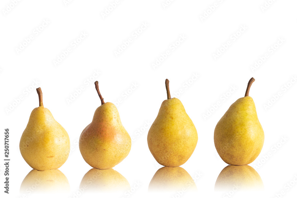 four ripe yellow pears on white background four ripe yellow pears on white background