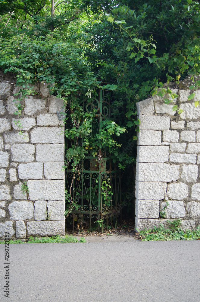 old metal gate old metal gate