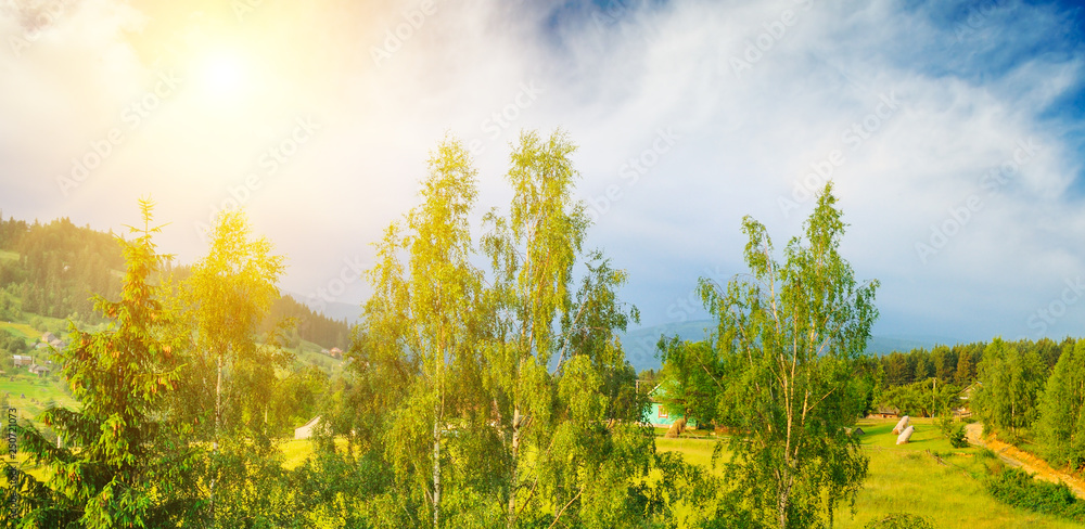Slopes of the mountains, beautiful spruce and a bright sunset. Wide photo. Slopes of the mountains, beautiful spruce and a bright sunset. Wide photo.