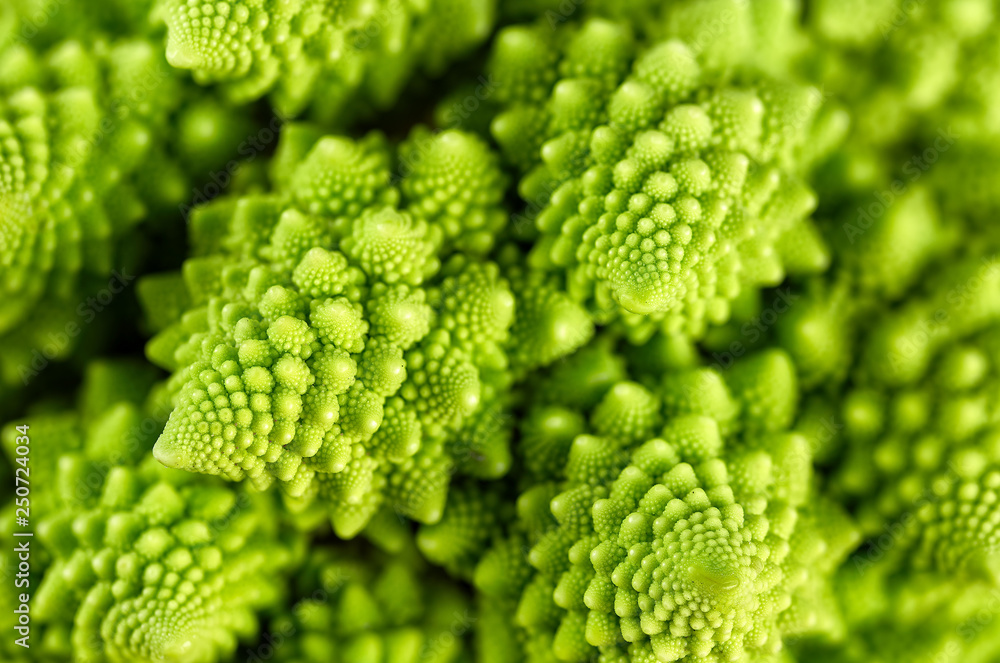 Close up of interesting shape roman cauliflower (Brassica oleracera) Close up of interesting shape roman cauliflower (Brassica oleracera)