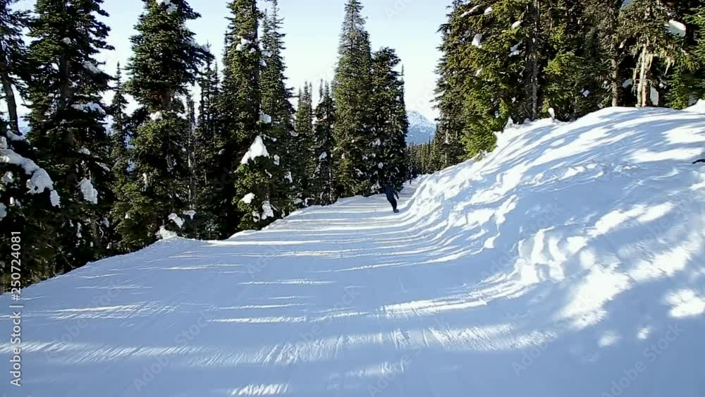 A POV shot of a skier and a snowboarder on a ski run between the trees on Blackcomb mountain. A POV shot of a skier and a snowboarder on a ski run between the trees on Blackcomb mountain.