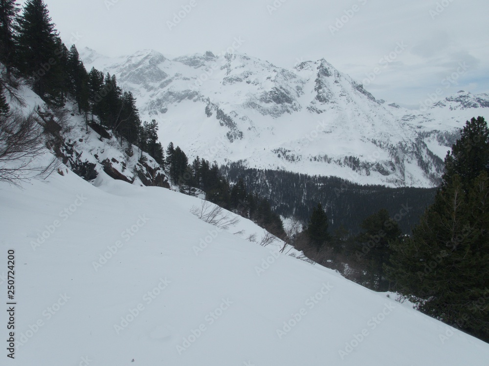 Obraz premium winter skitouring adventure in granastpitzgruppe mountains in austrian alps