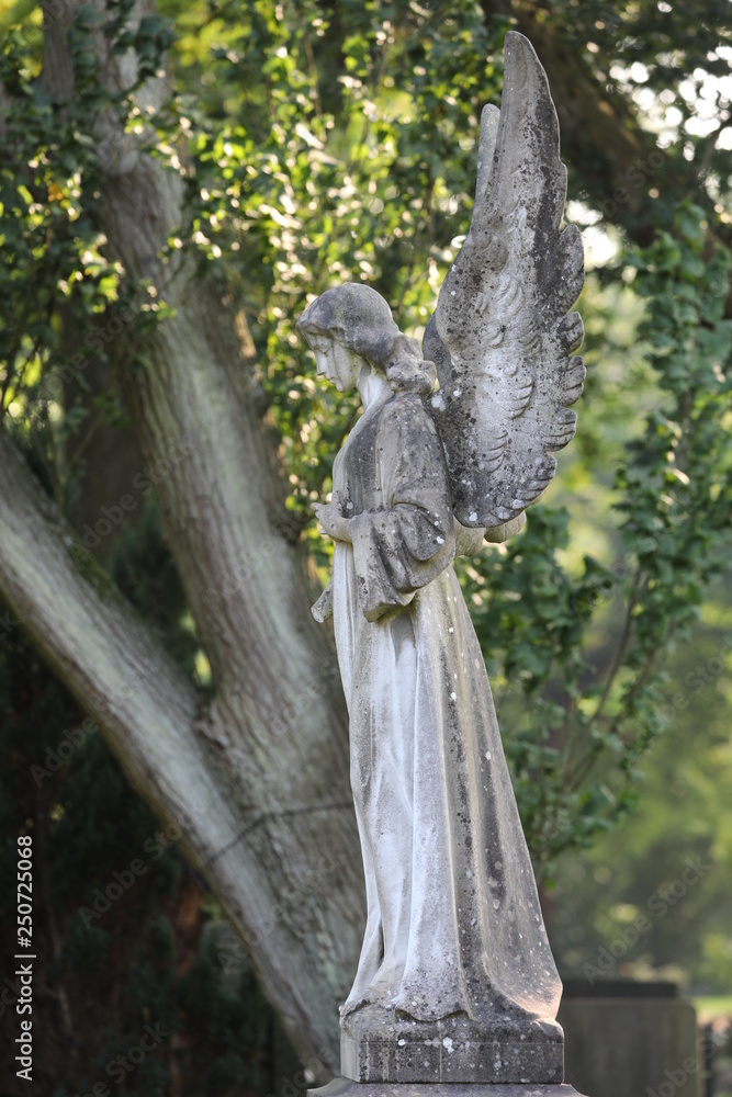 gravestone at municipal cemetery in Amsterdam, The Netherlands gravestone at municipal cemetery in Amsterdam, The Netherlands