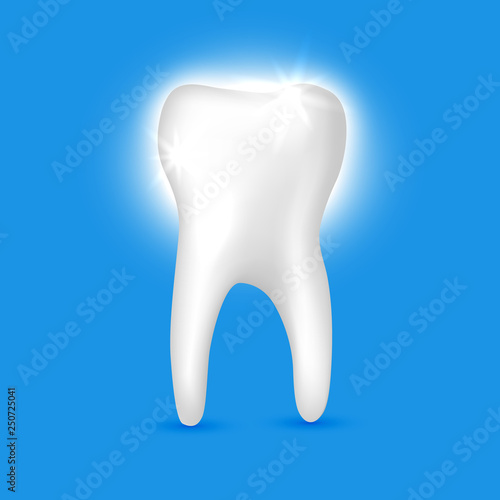 Beautiful realistic shiny white tooth dentist vector on blue background.