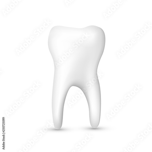 Beautiful realistic white tooth dentist vector on white background.
