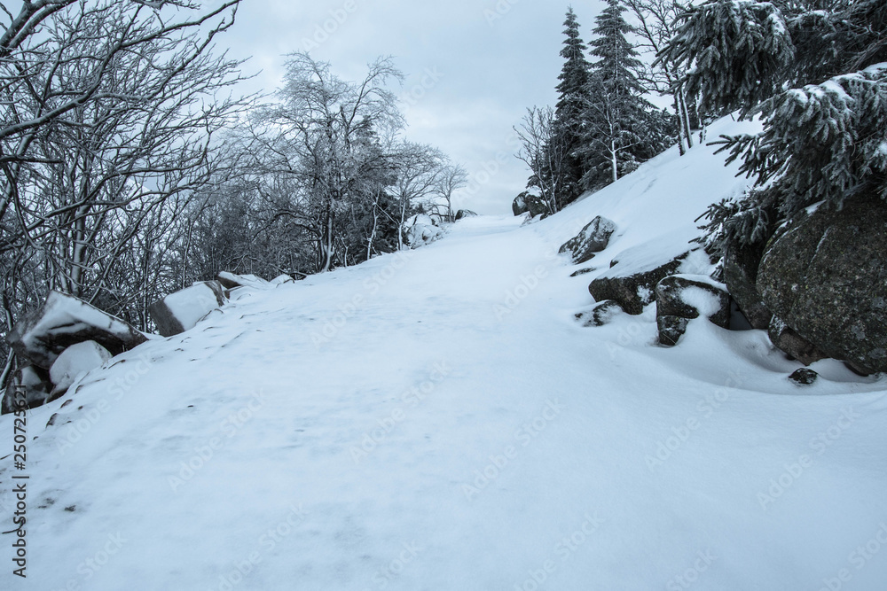 Fototapeta premium Zima w Karkonoszach . Okolice Samotni. Dolnośląskie, Polska , Europa