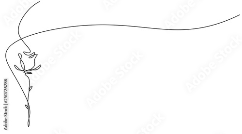 Roses flower one line draw, vector illustration.