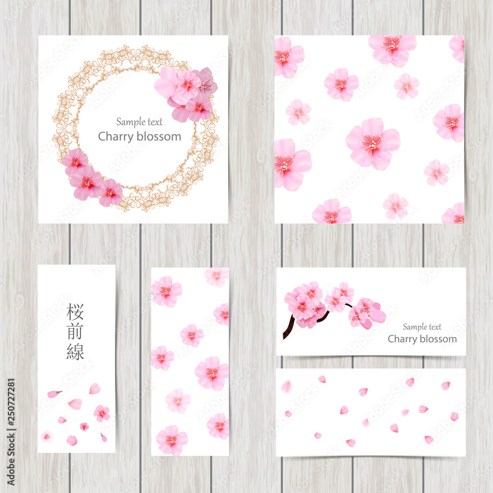 Set of greeting and invitation card with cherry blossom  Spring composition with sakura. Vector illustration