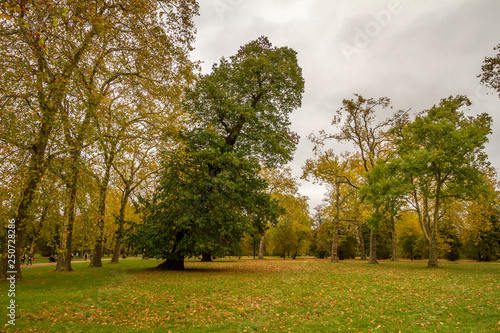 Londra, Regno Unito photo