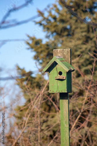 birdhouse wooden copyspace home