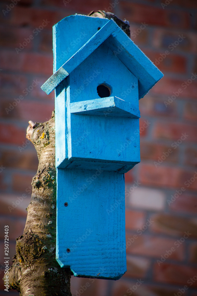 birdhouse wooden copyspace home birdhouse wooden copyspace home