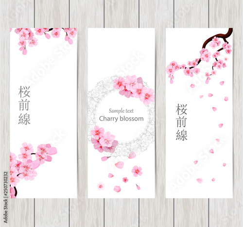 Set of greeting and invitation card with cherry blossom  Spring composition with sakura. Vector illustration