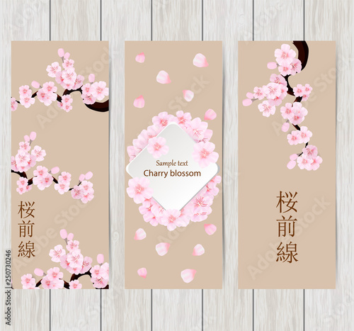 Wallpaper Mural Set of greeting and invitation card with cherry blossom  Spring composition with sakura. Vector illustration Torontodigital.ca