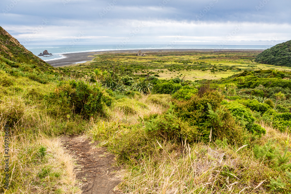 New Zealand rainforest, green wilderness and Black Sand Beach close to KereKere Piha, New Zealand