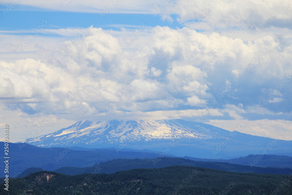 National park Mount Rainier in Norh America beautiful landscape