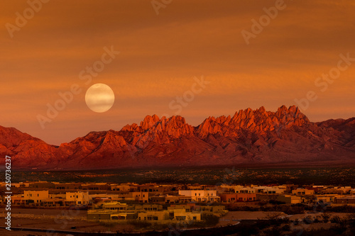 Full Moon, Organs, and Adobes