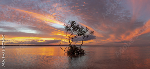 Fototapeta Naklejka Na Ścianę i Meble -  sunset on the sea
