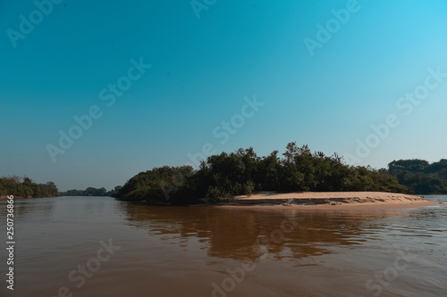 River landscape  and jungle Pantanal  Brazil