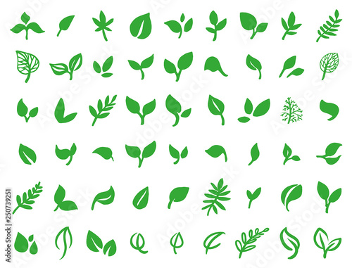 Fotótapéta Vector illustration concept of green leaves