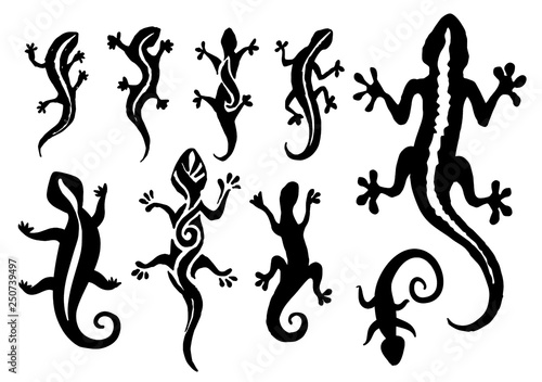 Vector hand drawn illustration of lizard silhouette on white background.