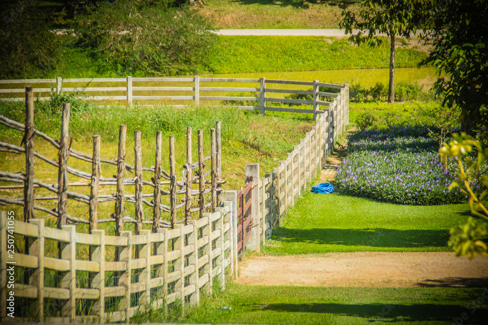 Perspective view of long wooden fence in the green farm. Wooden fence and shadow in the middle of the green grass field.