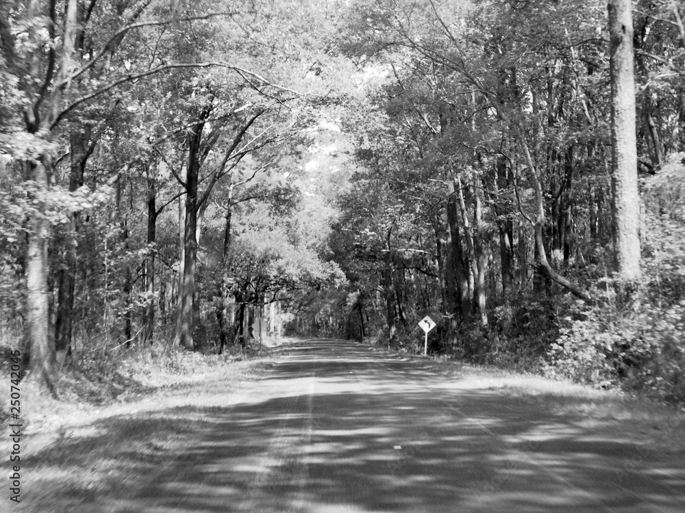 Obraz premium JP Archive