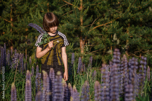 A boy with long hair standing among lupins in the rays of the sun.