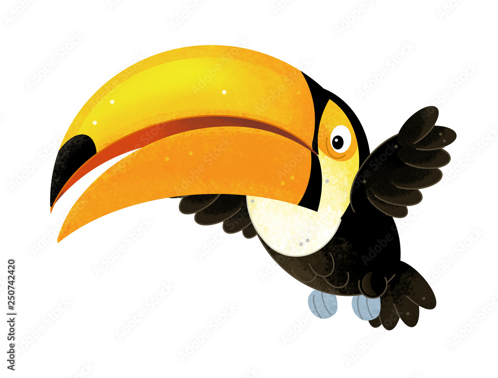 Fototapeta premium cartoon scene with toucan on white background - illustration for children