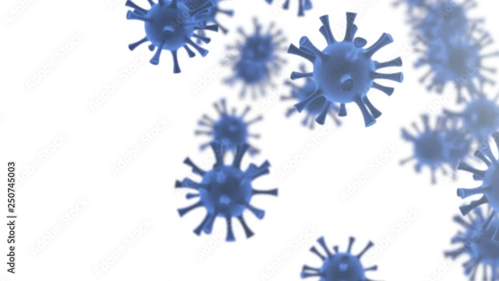 Blue virus cells animation on white background. Seamless loop Blue virus cells animation on white background. Seamless loop