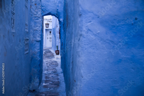 Hammamet Medina streets with blue walls. Tunis, north Africa. © Viacheslav