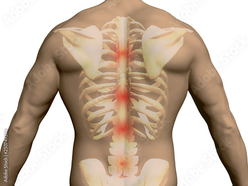 Back of a man